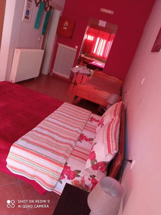 Guest House Sakis. Όρμα Εξωτερικό φωτογραφία