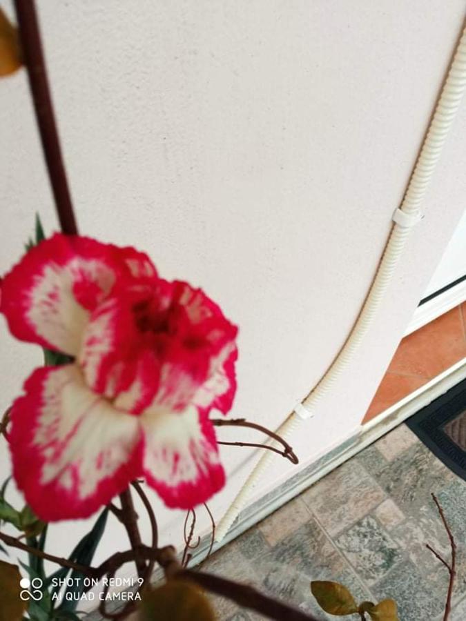 Guest House Sakis. Όρμα Εξωτερικό φωτογραφία