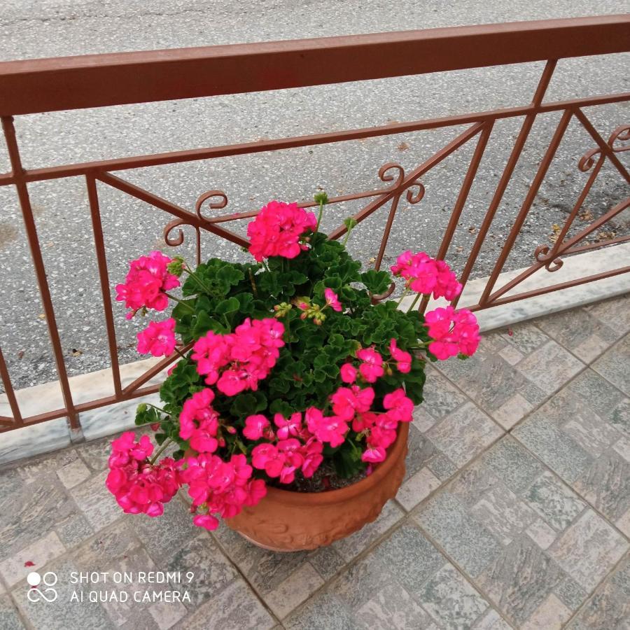 Guest House Sakis. Όρμα Εξωτερικό φωτογραφία