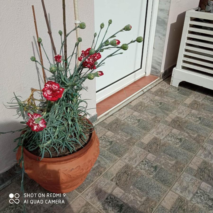 Guest House Sakis. Όρμα Εξωτερικό φωτογραφία