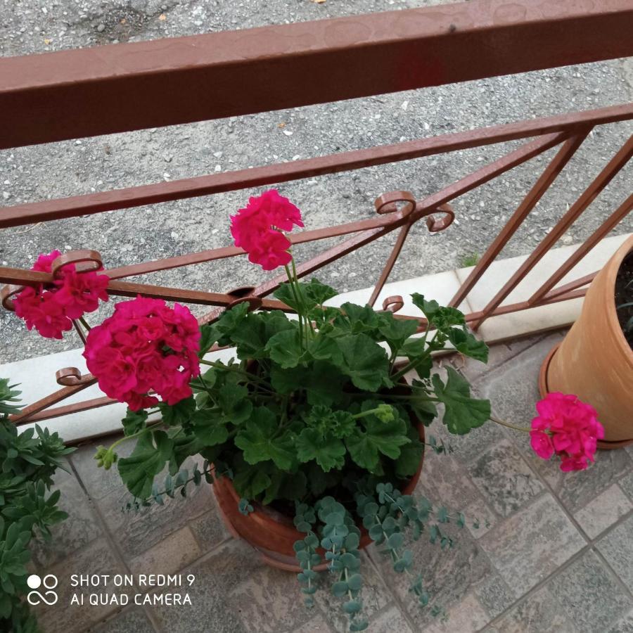 Guest House Sakis. Όρμα Εξωτερικό φωτογραφία