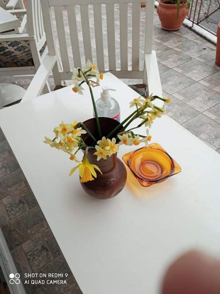Guest House Sakis. Όρμα Δωμάτιο φωτογραφία