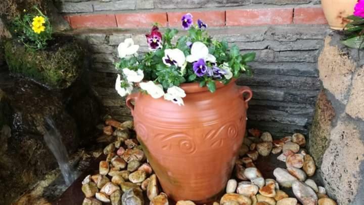 Guest House Sakis. Όρμα Εξωτερικό φωτογραφία