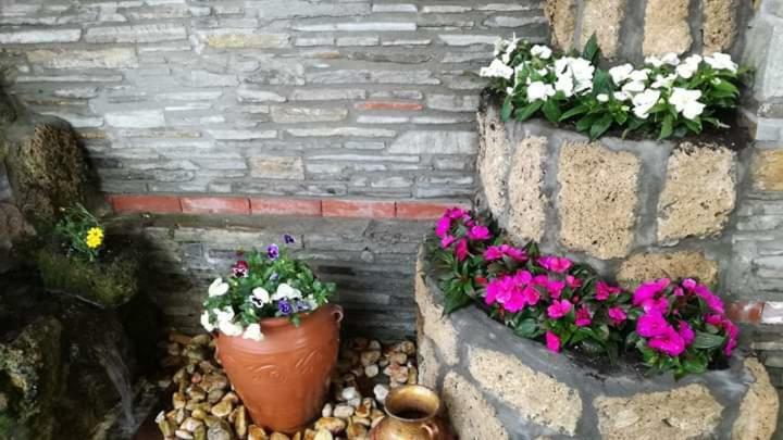 Guest House Sakis. Όρμα Εξωτερικό φωτογραφία