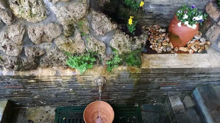 Guest House Sakis. Όρμα Εξωτερικό φωτογραφία